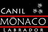 Logo Mônaco Labrador